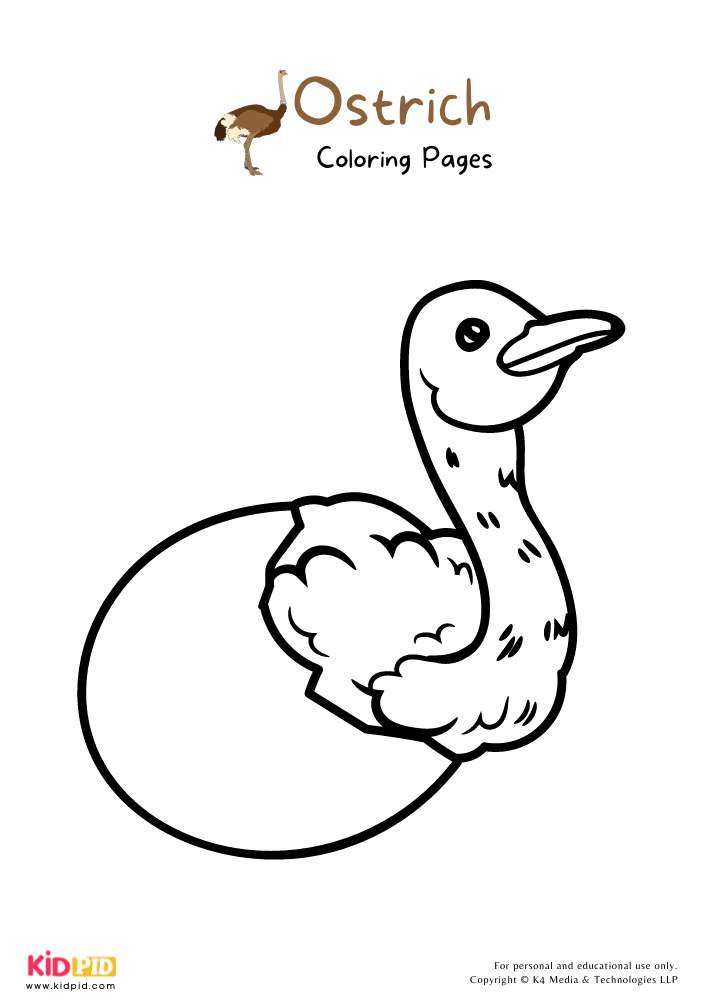 Ostrich Coloring Pages For Kids – Free Printables