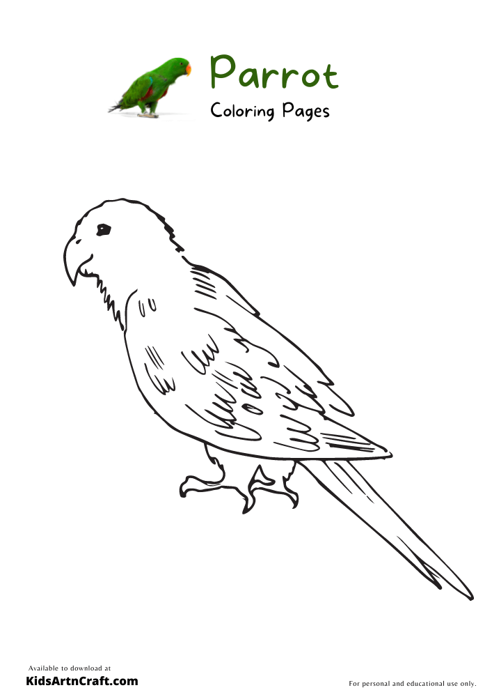 Parrot Coloring Pages For Kids
