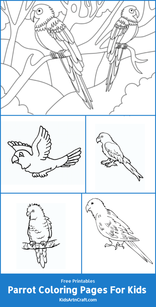 Parrot Coloring Pages For Kids – Free Printables - Kids Art & Craft