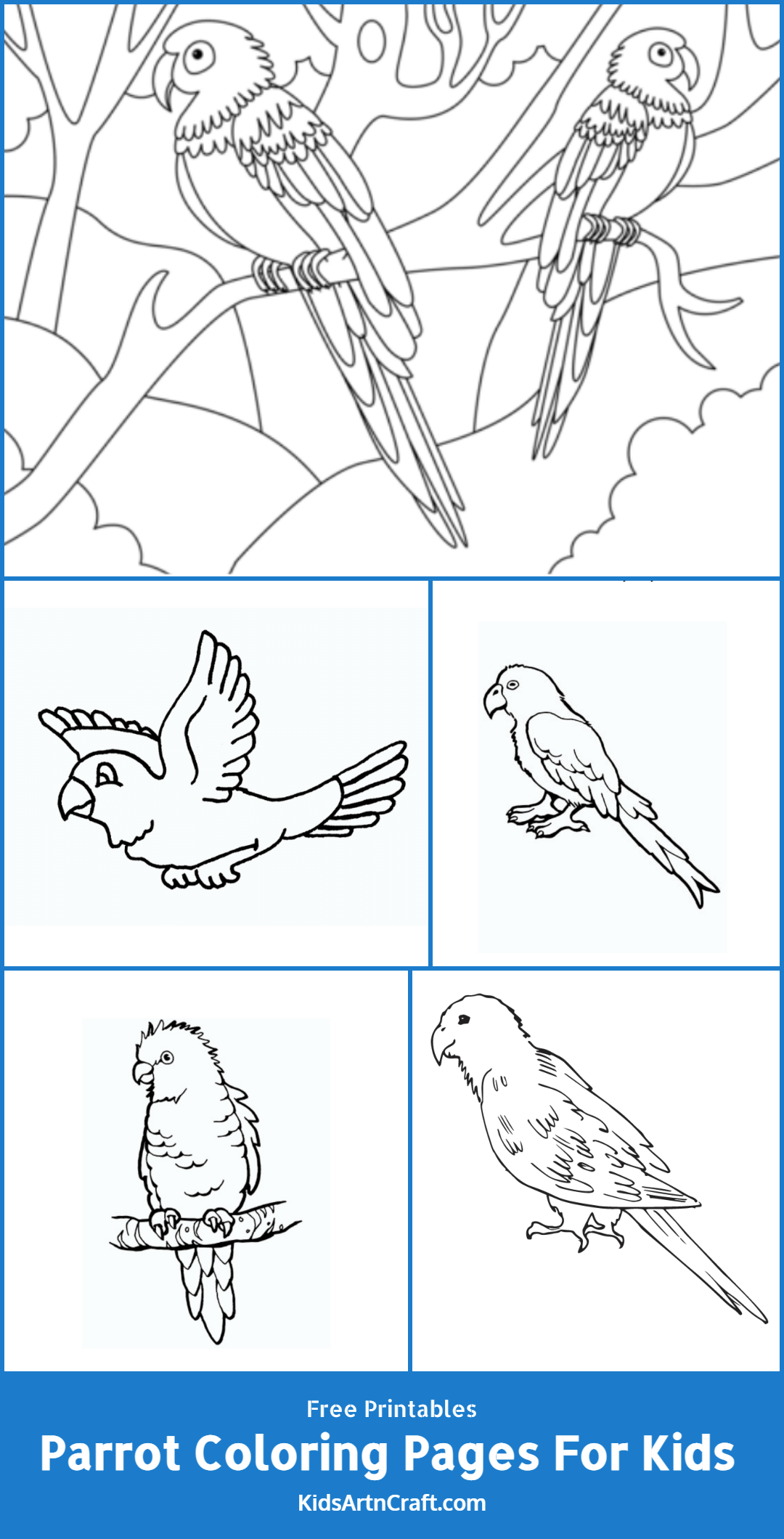 Parrot Coloring Pages For Kids – Free Printables