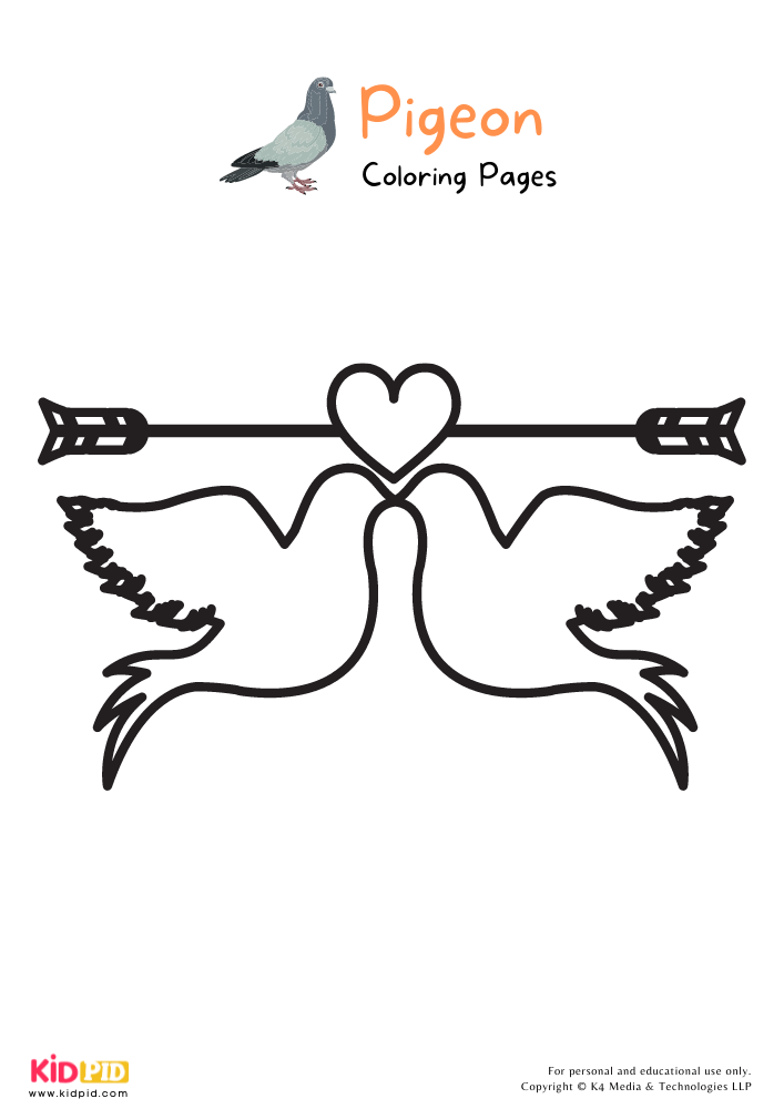 Pigeon Coloring Pages For Kids – Free Printables