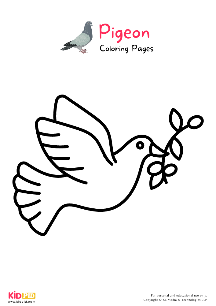 Pigeon Coloring Pages For Kids – Free Printables