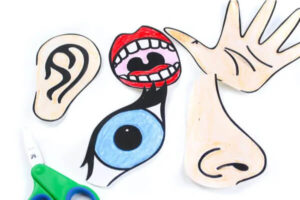 Creative Ways to Teach Five Senses - Kids Art & Craft