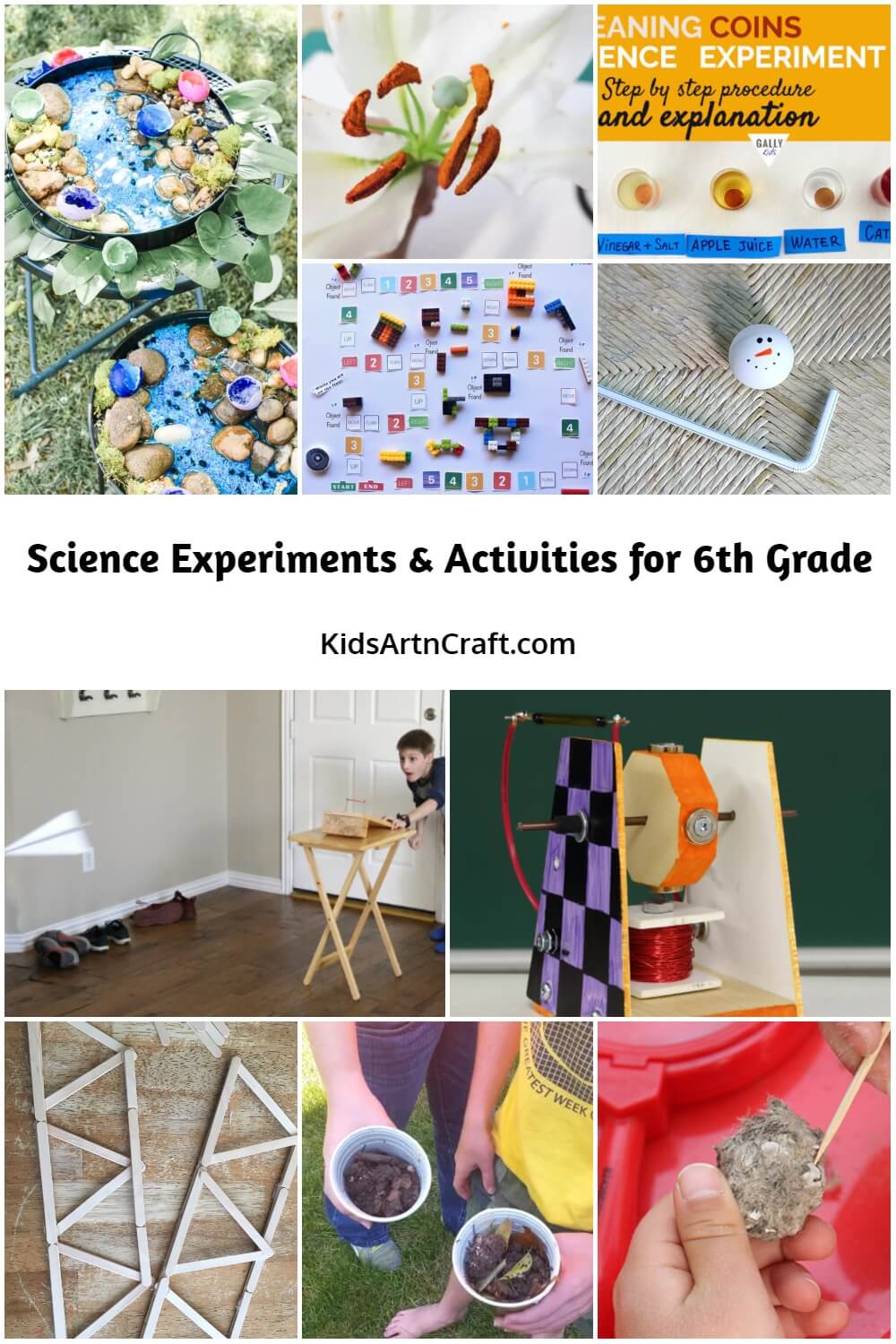 Science Experiments & Activities for 6th Grade