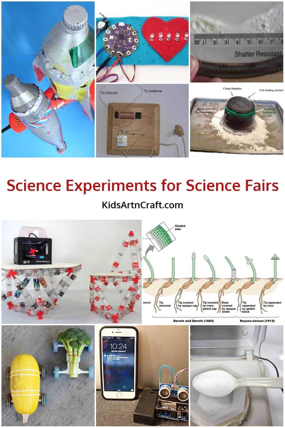 Science Experiments for Science Fairs Kids Art & Craft