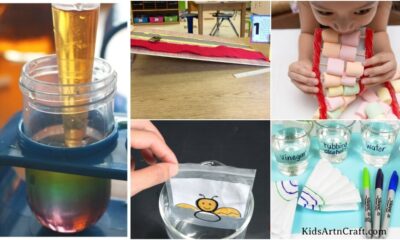 Science Experiments & Projects for Grade 4
