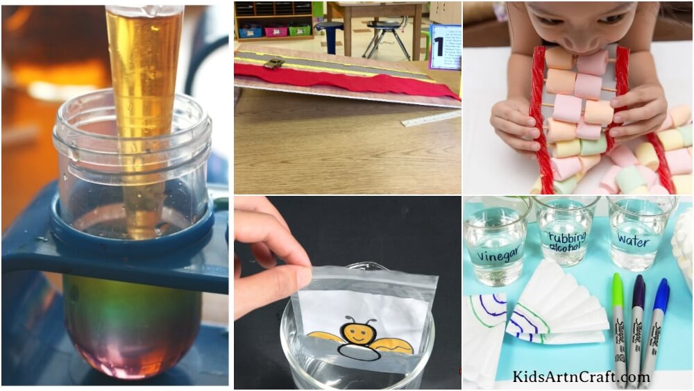 Science Experiments & Projects for Grade 4