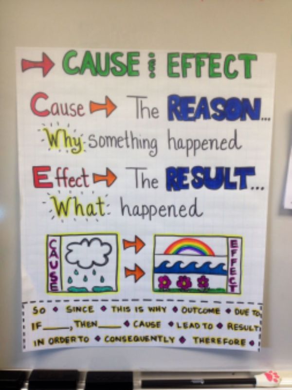 Second Grade Idea Cause And Effect anchor charts for classroom