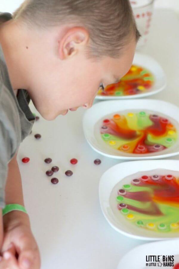 Skittles halloween Science Experiment For Kids