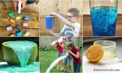 Special Science Projects for Summer