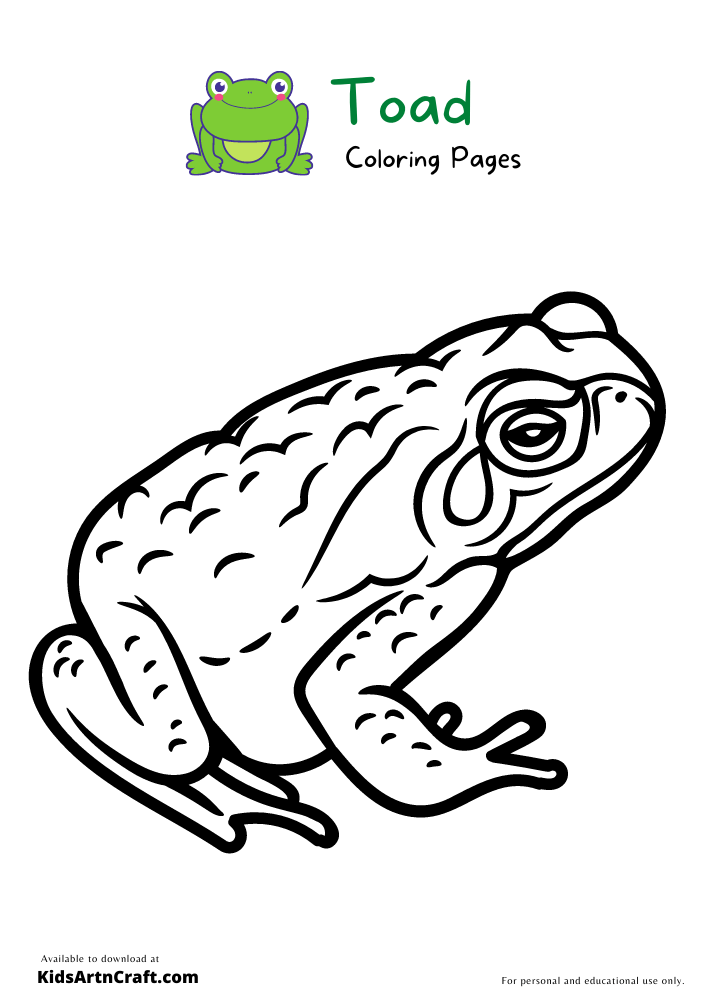 Toad Coloring Pages For Kids