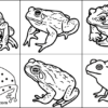 Toad Coloring Pages For Kids – Free Printables