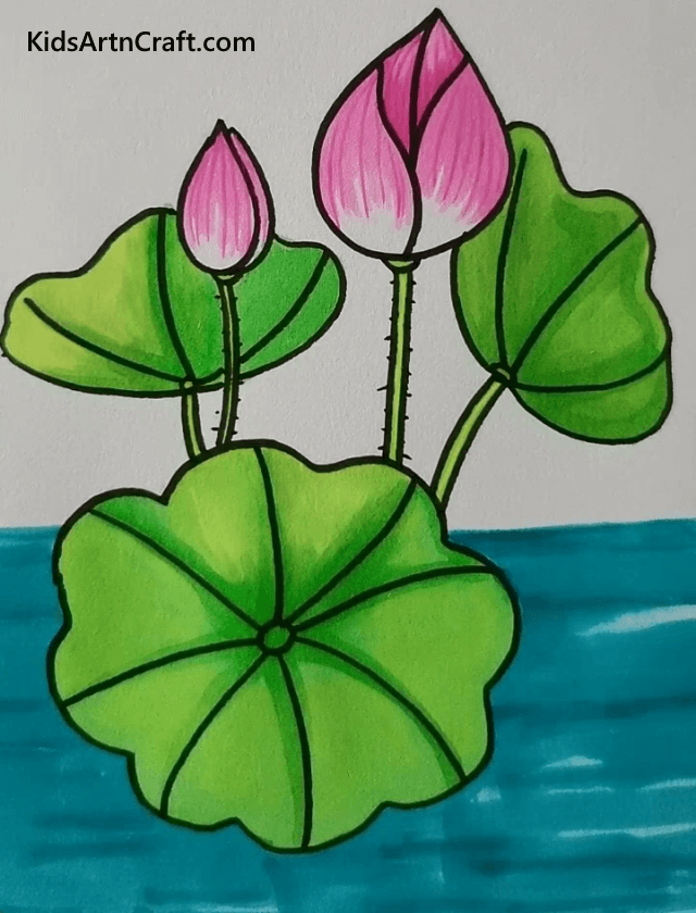 Easy Floral Drawings For Beginners To Draw National Flower: Lotus