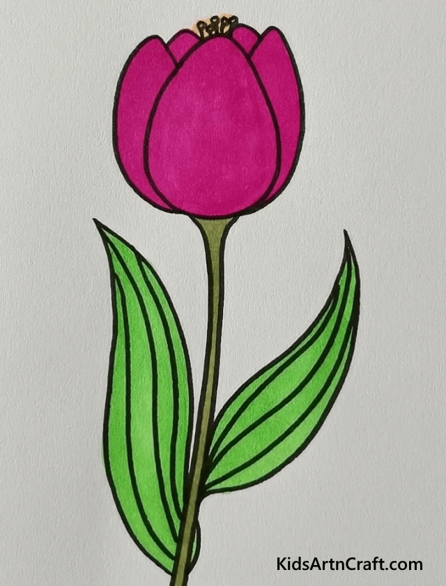 Easy Floral Drawings For Beginners To Draw Pretty Tulip