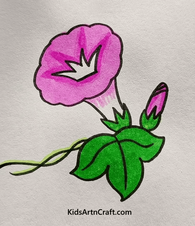 Easy Floral Drawings For Beginners To Draw Morning flower