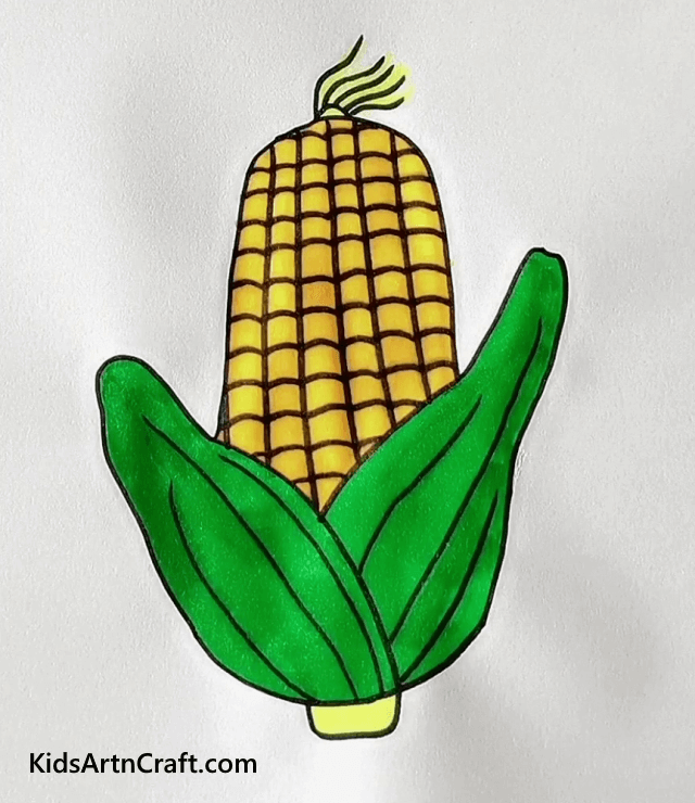 Corn Drawing And It's Benefits
