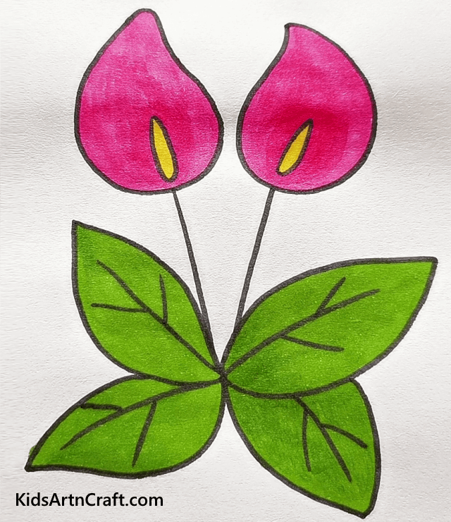 Easy Floral Drawings For Beginners To Draw Colorful Petals