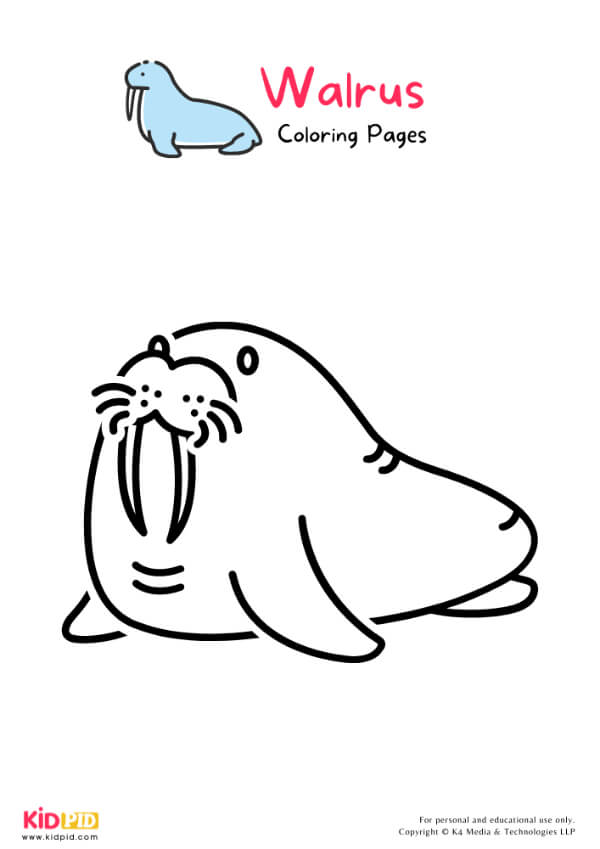 Walrus Coloring Pages For Kids – Free Printables 1