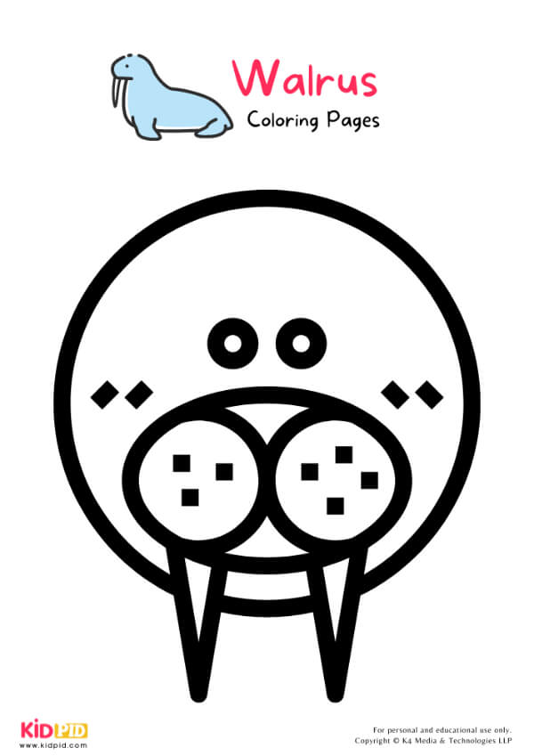 Walrus Coloring Pages For Kids – Free Printables 11