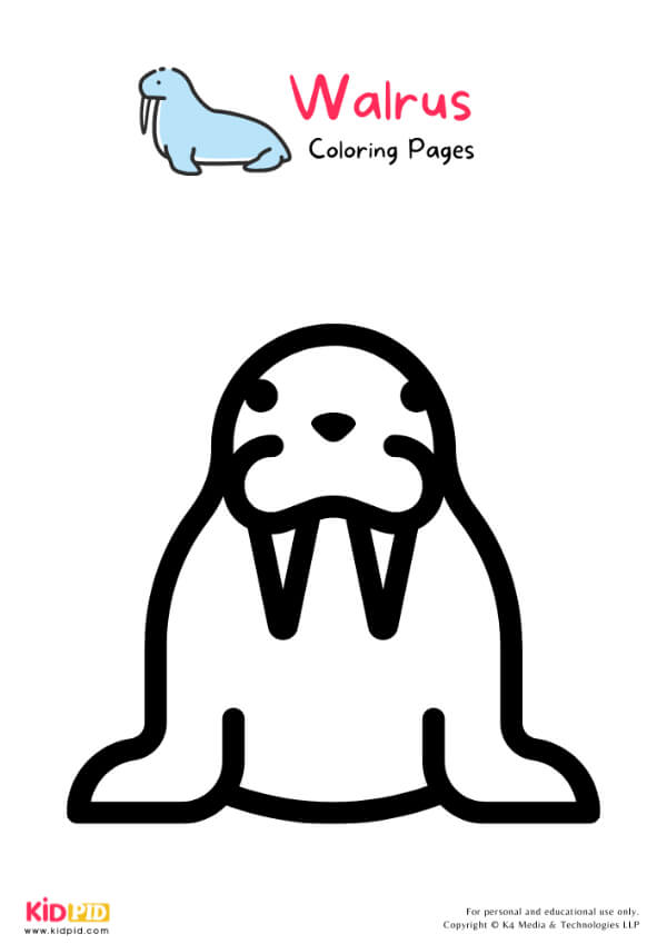 Walrus Coloring Pages For Kids – Free Printables 12