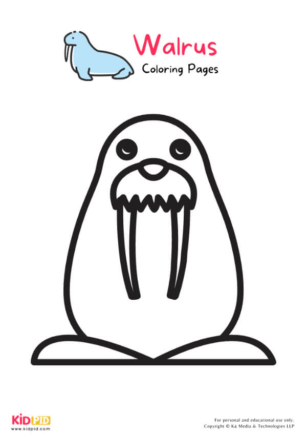 Walrus Coloring Pages For Kids – Free Printables 13