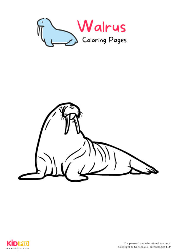 Walrus Coloring Pages For Kids – Free Printables 14