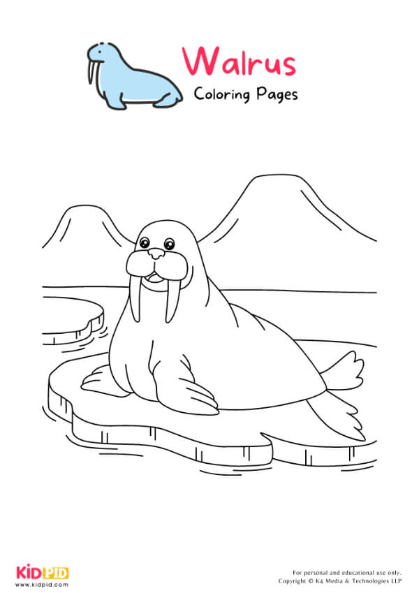 Walrus Coloring Pages For Kids – Free Printables 2