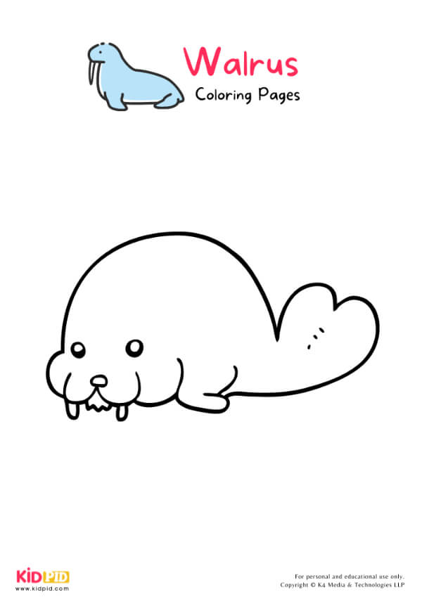 Walrus Coloring Pages For Kids – Free Printables 20