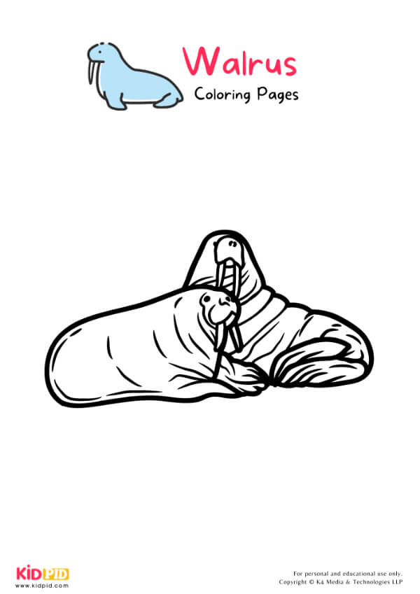Walrus Coloring Pages For Kids – Free Printables 21