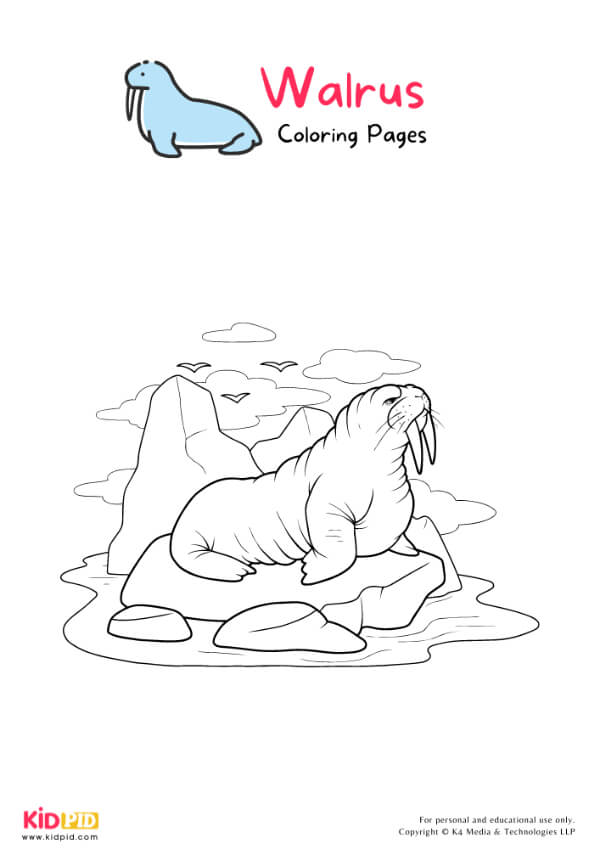 Walrus Coloring Pages For Kids – Free Printables 3