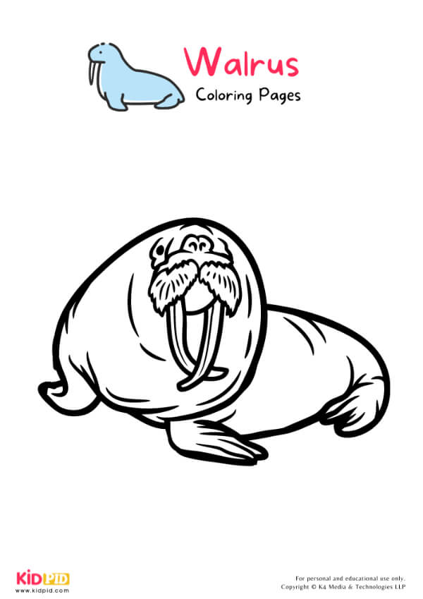 Walrus Coloring Pages For Kids – Free Printables 6