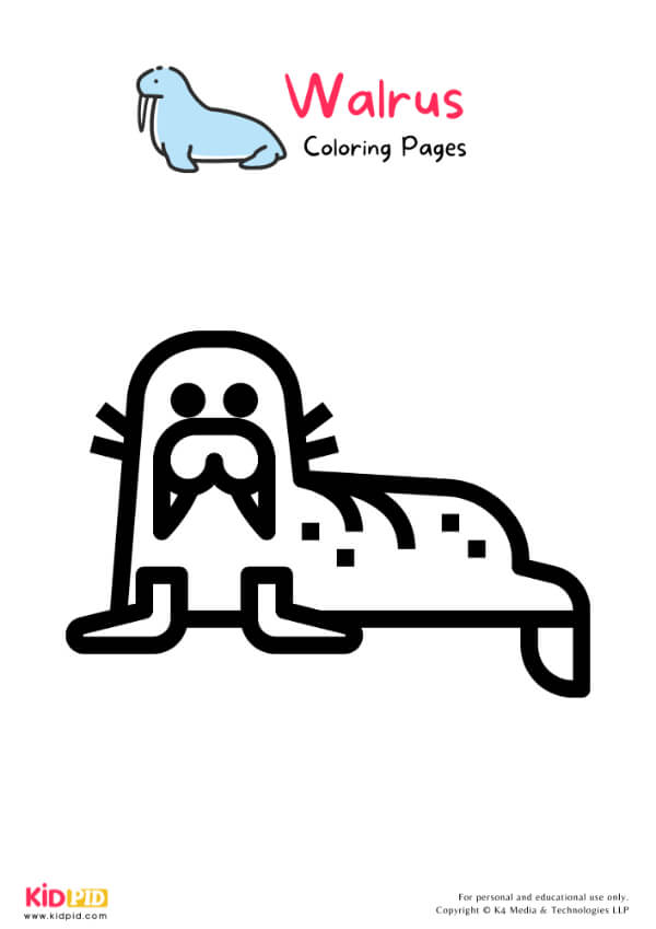 Walrus Coloring Pages For Kids – Free Printables 8