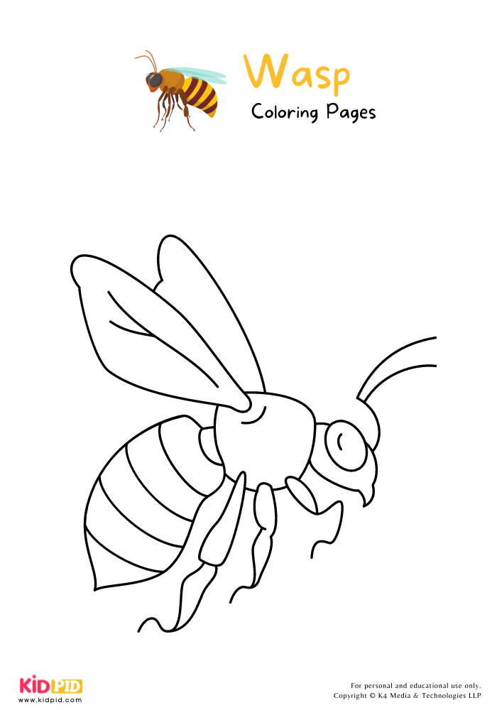 Wasp Coloring Pages For Kids – Free Printables