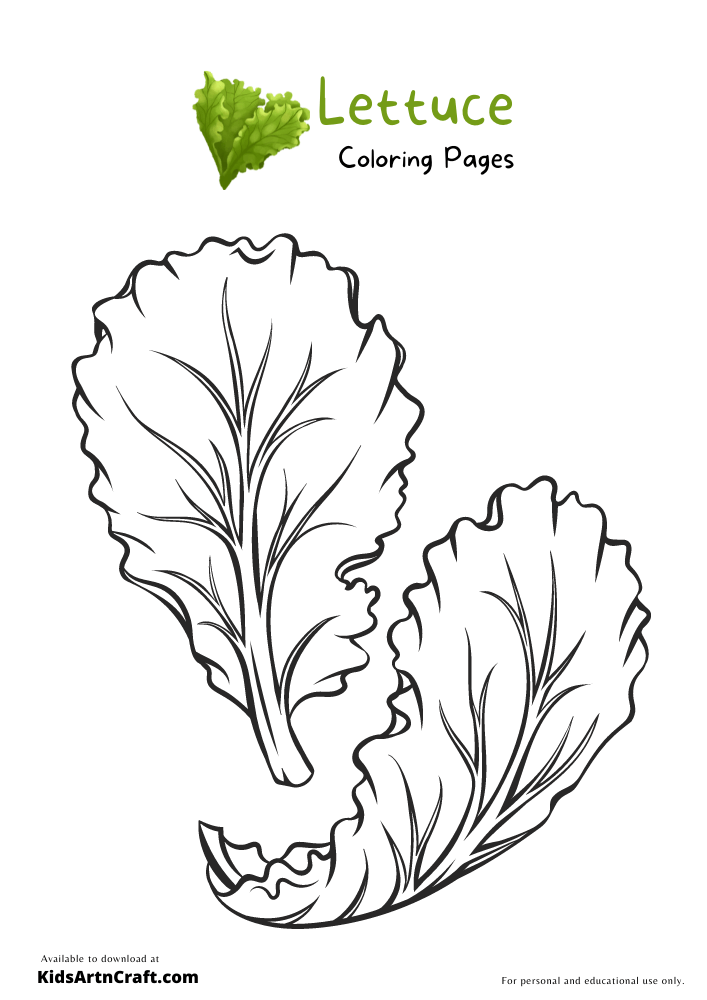 Lettuce Coloring Pages For Kids – Free Printables
