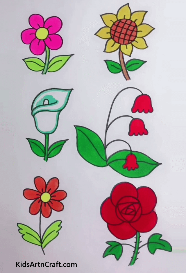 Colorful Flowers Explore And Learn New Things By Drawing Them 
