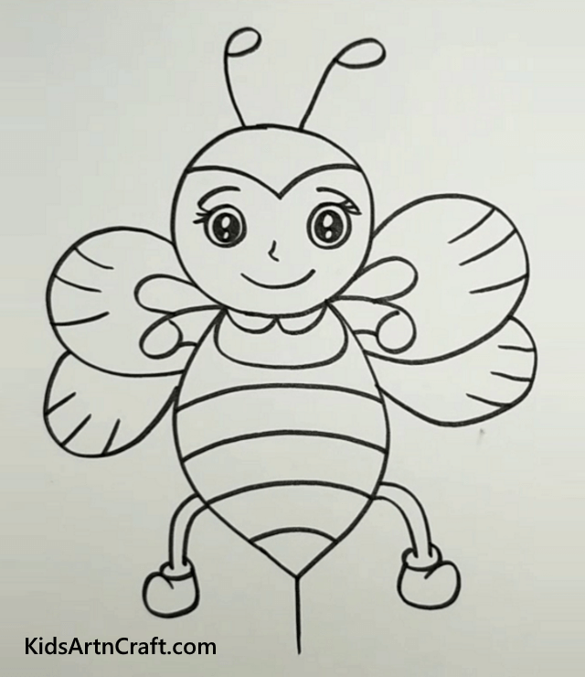 Cartoon Butterfly Drawing