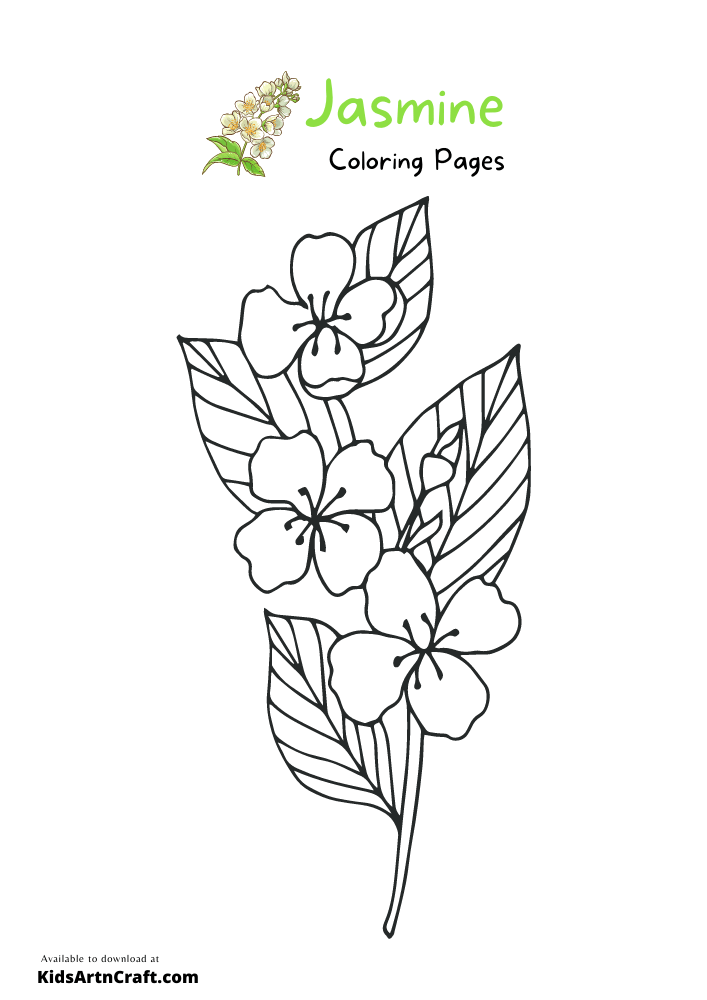 Jasmine Coloring Pages For Kids – Free Printables