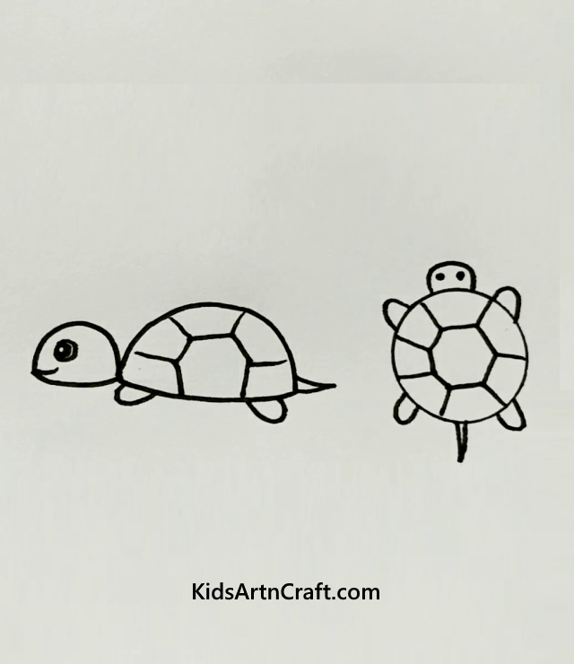 Aquatic Animal Drawings for Kids - Kids Art & Craft