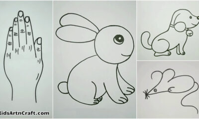 Animal Drawing Activities Ideas For Kids