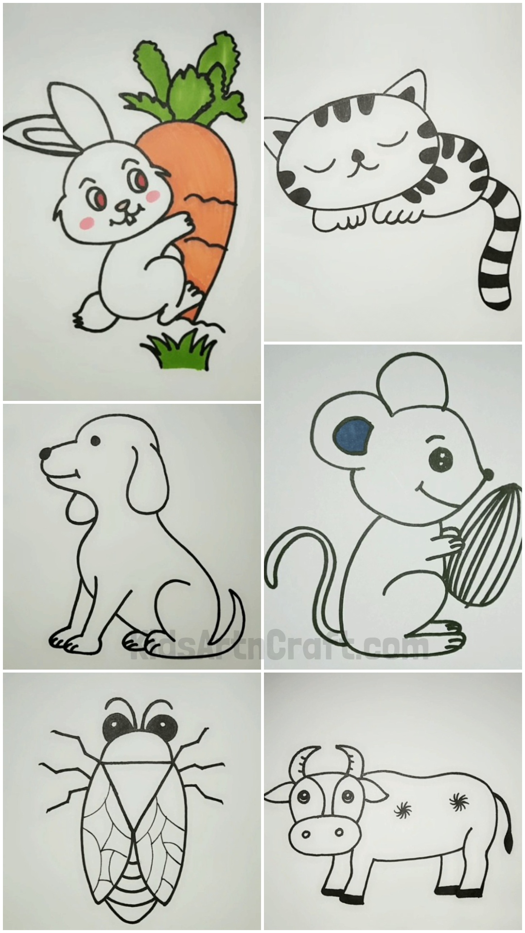 Animal Drawing Ideas For Kids - Let's Take A Tour Of The Animal World!