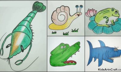 Animal Drawings For Kids