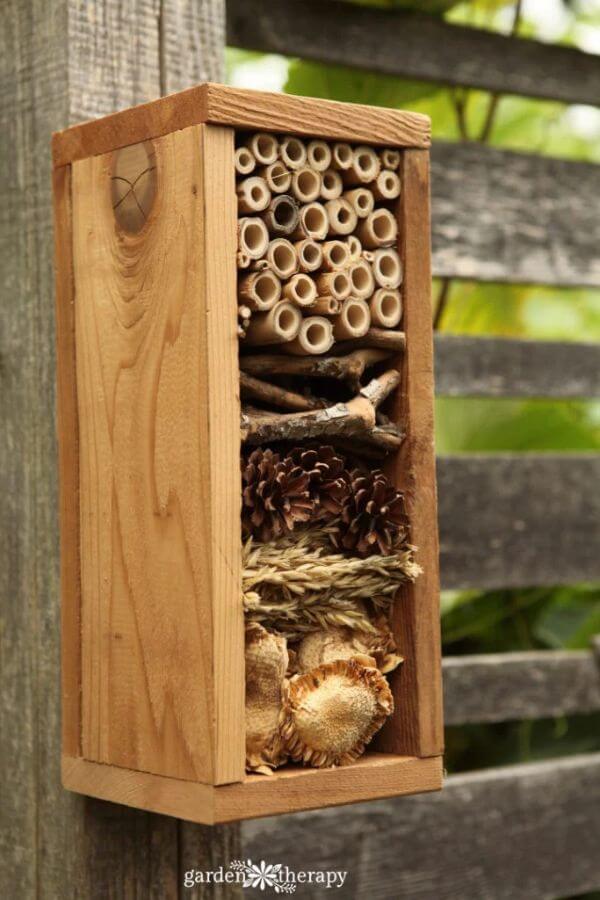 Beneficial Bug House for this Weekend Project