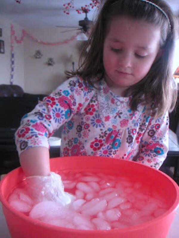 Icy Water Activities For  Winter Animal Habitat Projects for Kids