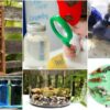 Animal Habitat Projects for Kids