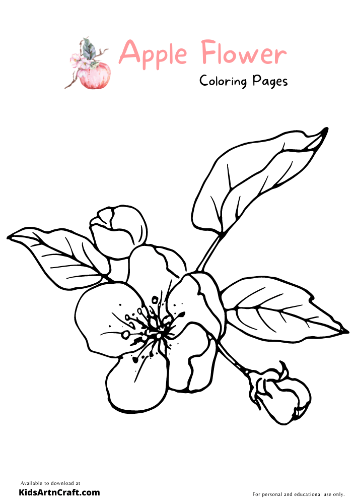 Apple Flower Coloring Pages For Kids – Free Printables