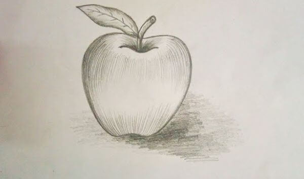 Apple Pencil Sketch For Kids