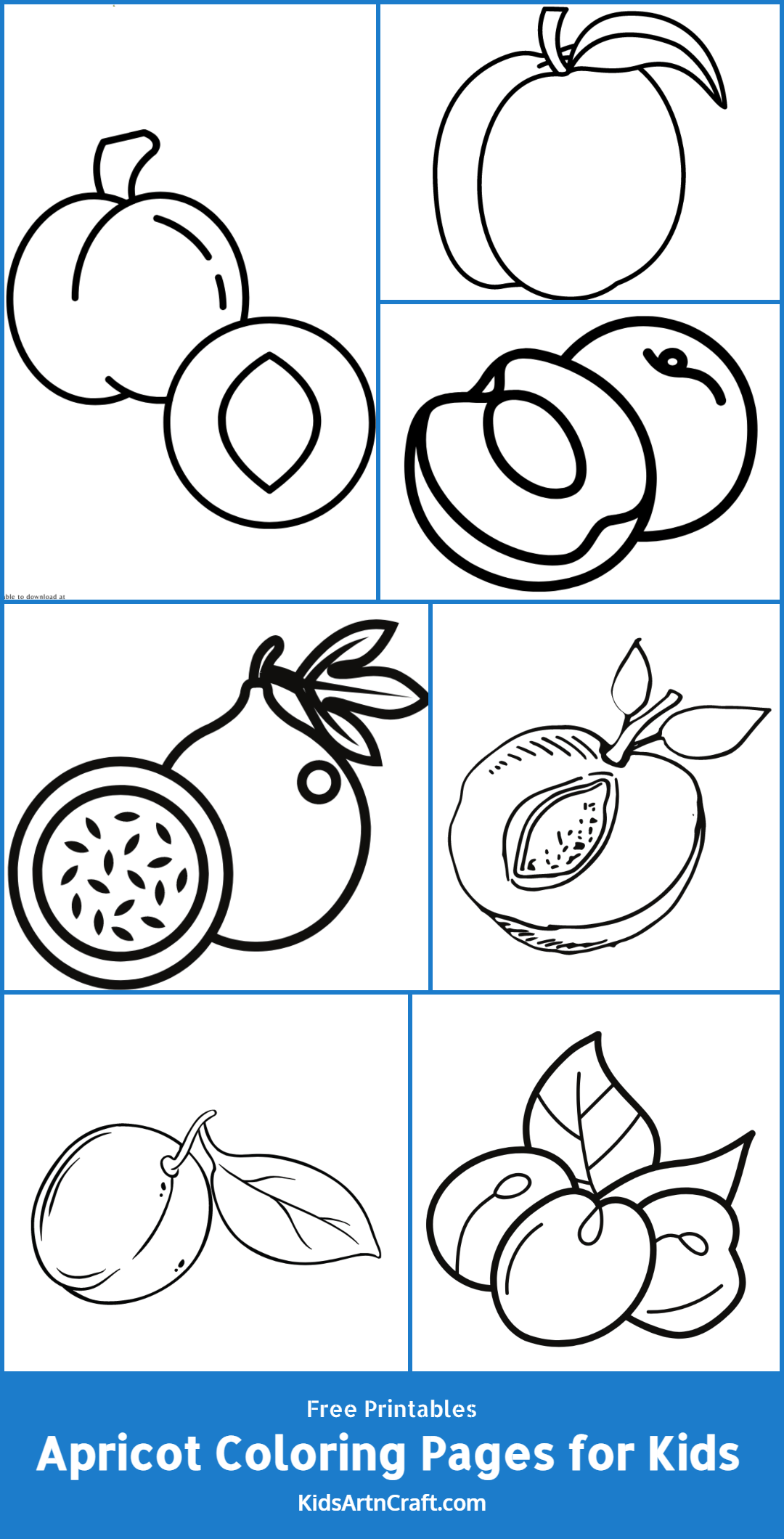 Apricot Coloring Pages For Kids – Free Printables