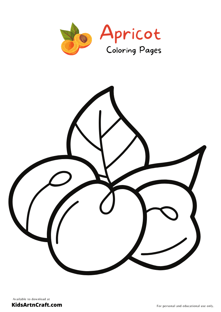 Apricot Coloring Pages-11