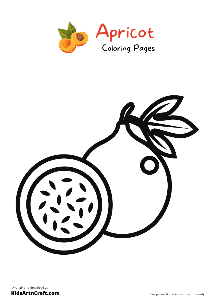 Apricot Coloring Pages-12