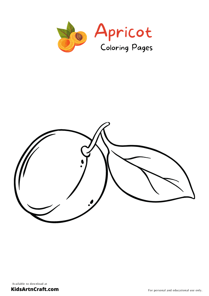 Apricot Coloring Pages-13